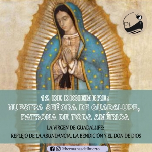 9 DE DICIEMBRE  SAN JUAN DIEGO DE AMÉRICA