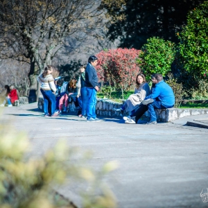 Encuentro de preceptores