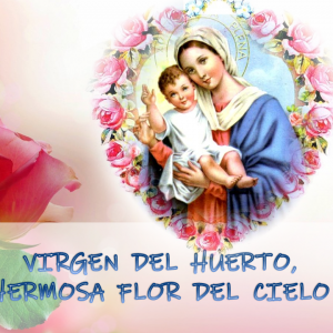 2 DE JULIO SOLEMNIDAD DE NUESTRA SEÑORA DEL HUERTO